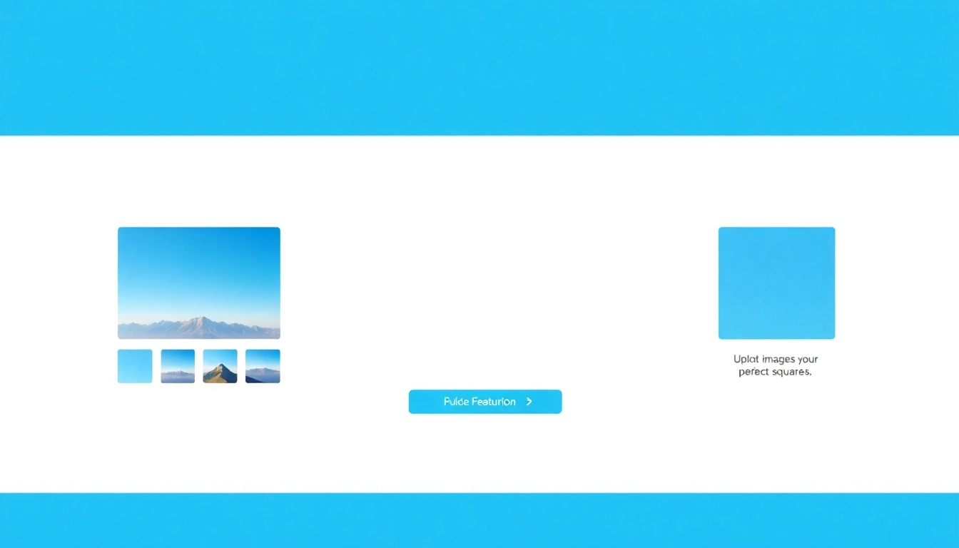 Transforming images into perfect squares with the easy-to-use interface of image square tool.